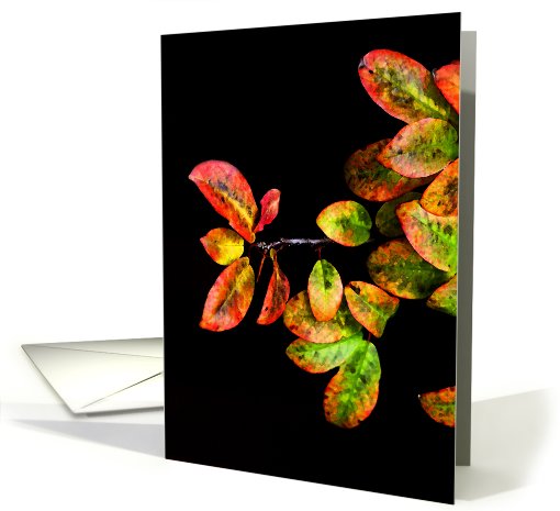 Fluorescent Fall card (505841)