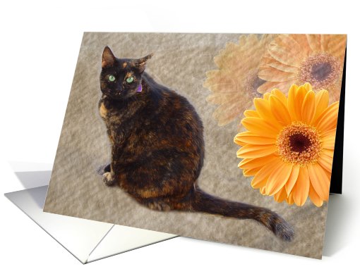 Softie Sadie card (511514)