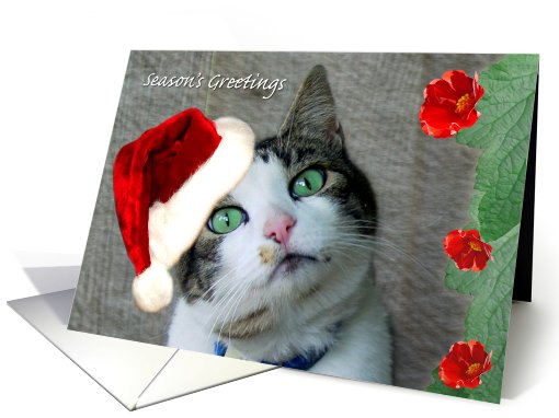 Kitty Princess Season's Greetings card (519453)