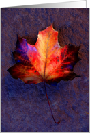 Brilliant Fallen Leaf card