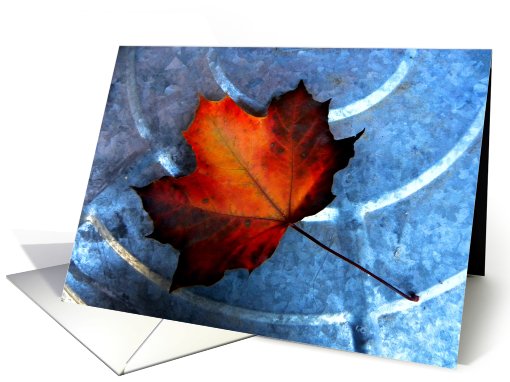 Leaf Patterns card (521189)