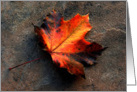 Leaf On Tile card