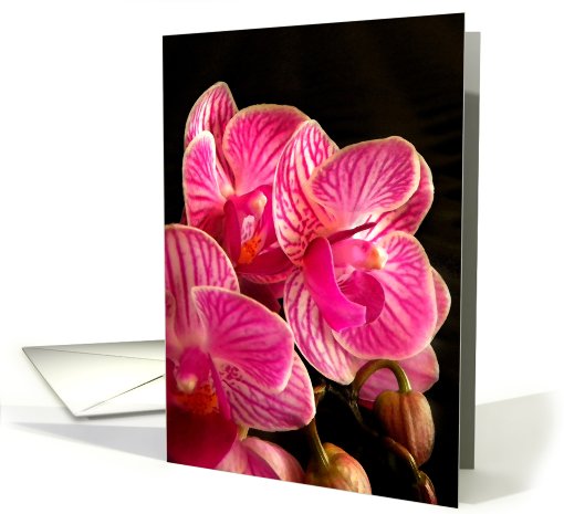 Watercolor Orchids card (527156)