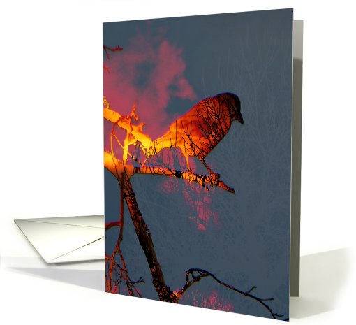 Another Crow, Another Sunset card (532190)