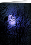 Winter’s Moonglow card