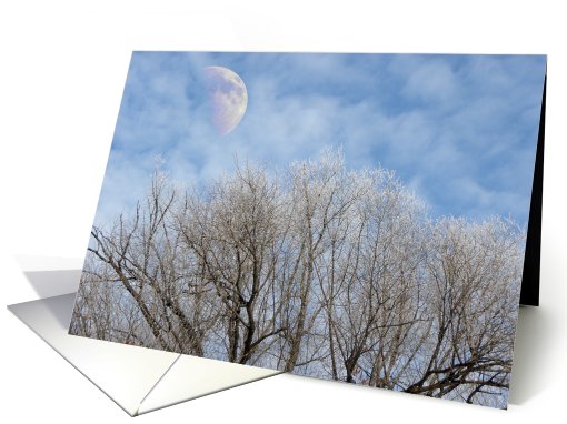 Winter Pastels card (543312)