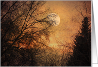 Gilded Sunset card