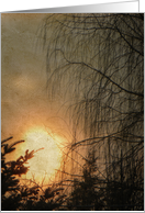 Sunset In Texture card