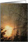 Sunset In Texture card