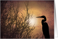 Egret In The Mist card