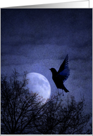 Bird in Moonglow card