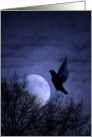 Bird in Moonglow card