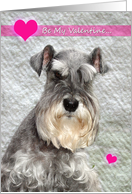 Valentine Schnauzer card