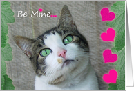 Valentine Kitty Princess card
