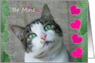 Valentine Kitty Princess card