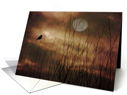 Lonely Marsh Bird card (551433)