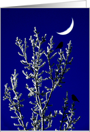 Moonfrost card