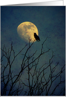 Silent Meditation card