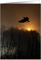 Ready To Fly card