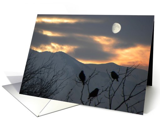 All Weather Friends card (569850)
