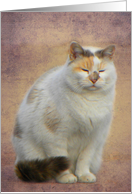 Sleepy Soft card