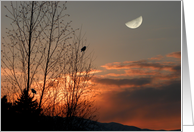 Two For Twilight card