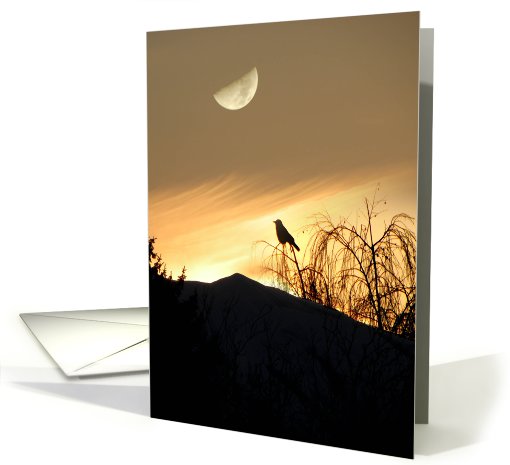 Sky Satin card (577631)