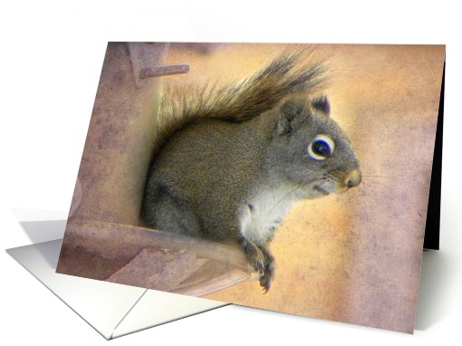 Squirrel Smile card (580812)
