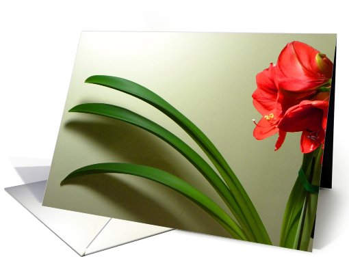 Floral Shadows card (584119)