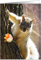 Squirrel Flower card