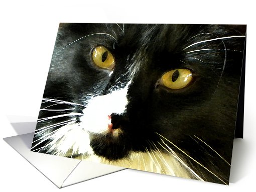 Golden Eye Kitty card (602235)