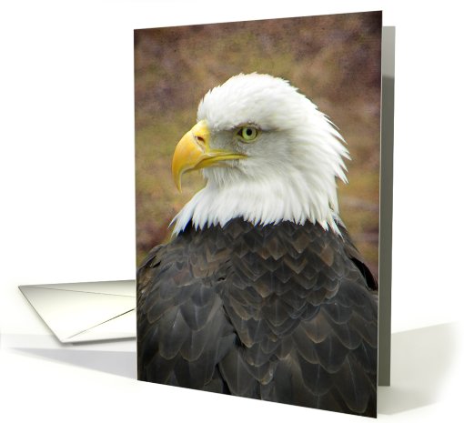 Elegant Eagle Portrait card (603330)