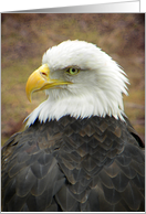 Elegant Eagle Portrait card