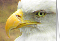 Pretty Eagle Profile card