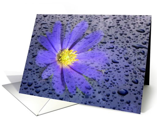 April Shower Flower card (609035)