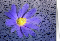 April Shower Flower card