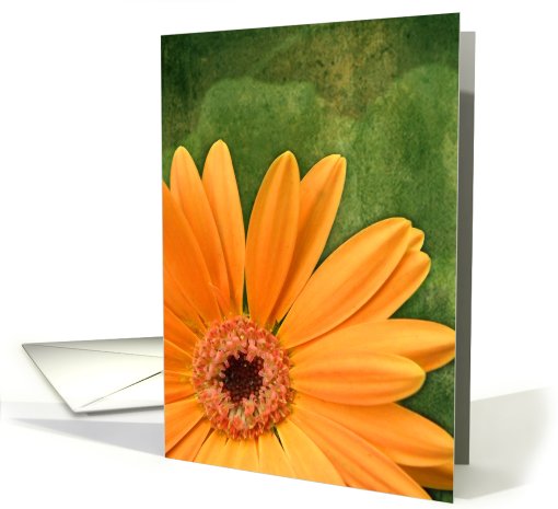 Springy Orange Daisy card (609829)