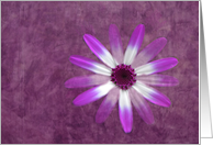 Dreamy Purple Floral card