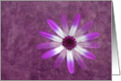 Dreamy Purple Floral card