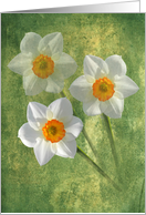 Mom’s Three Daffodils card