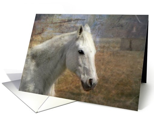 White Horse Dreams card (613910)