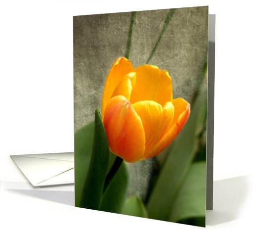 Orange Gold Tulip card (613913)