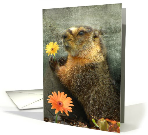 Flower From A Marmot card (615240)
