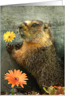 Flower From A Marmot card
