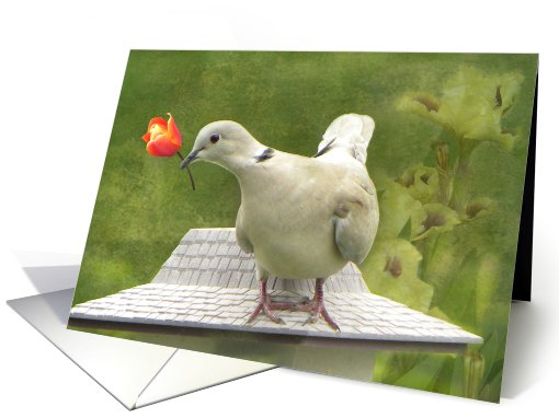Lovey Dovey Dove card (631085)