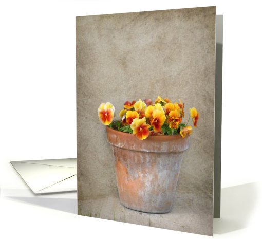 Wall of Color card (631087)