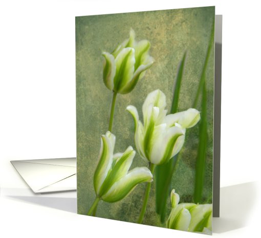 Striped Tulips card (636970)