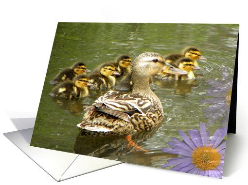 Adorable Duck Babies card (647198)