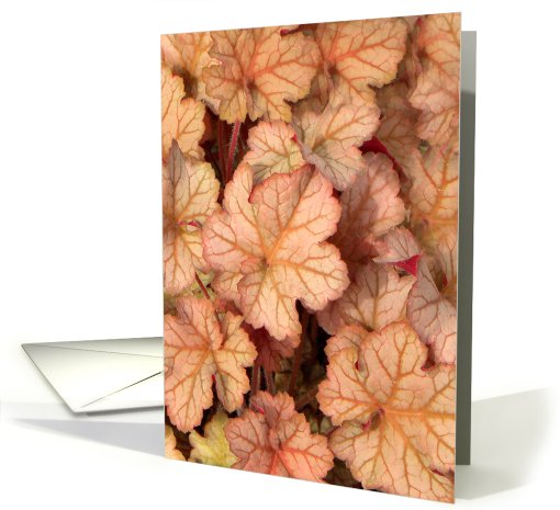 Coral Bell Leaves card (647203)