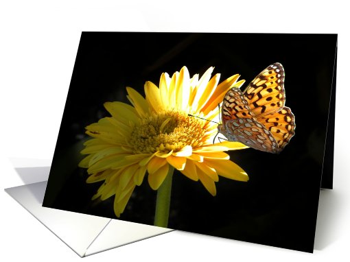 Gerbera Daisy and Butterfly card (652764)